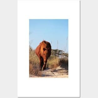 Assateague Beach Ponies - Series - 06 Posters and Art